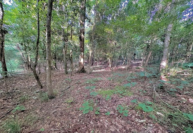 property-image-5