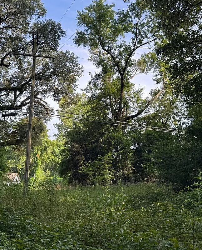 property-image-6