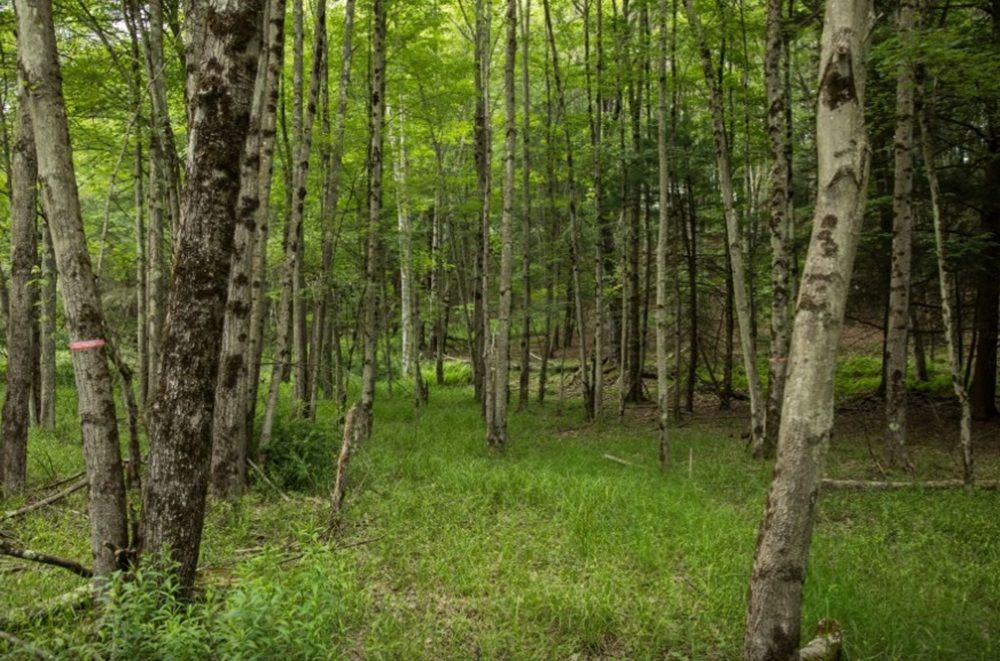 property-image-2