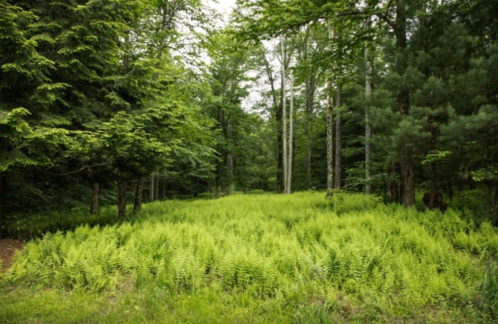 property-image-4