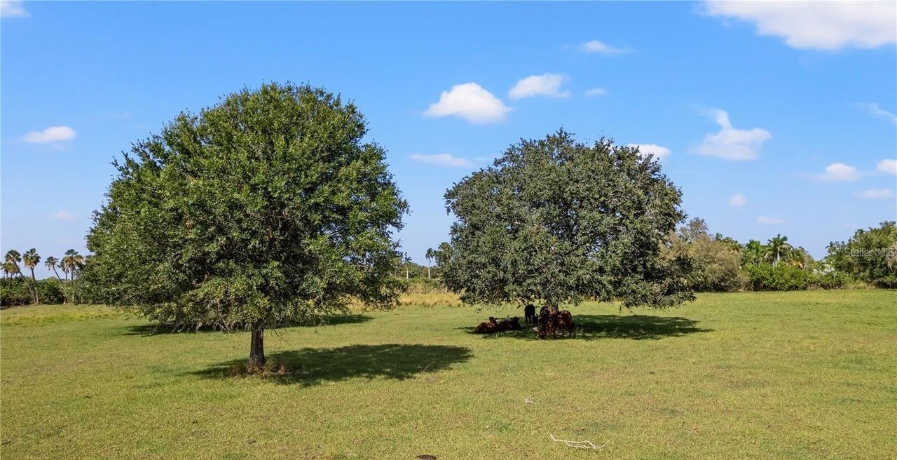 property-image-5