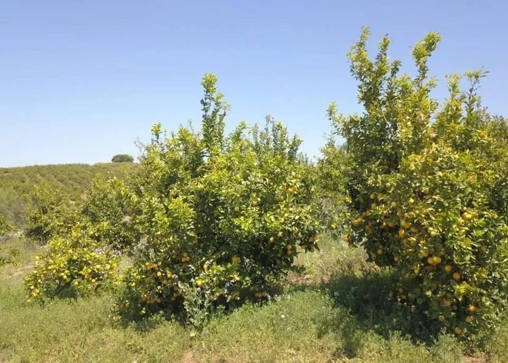 property-image-6