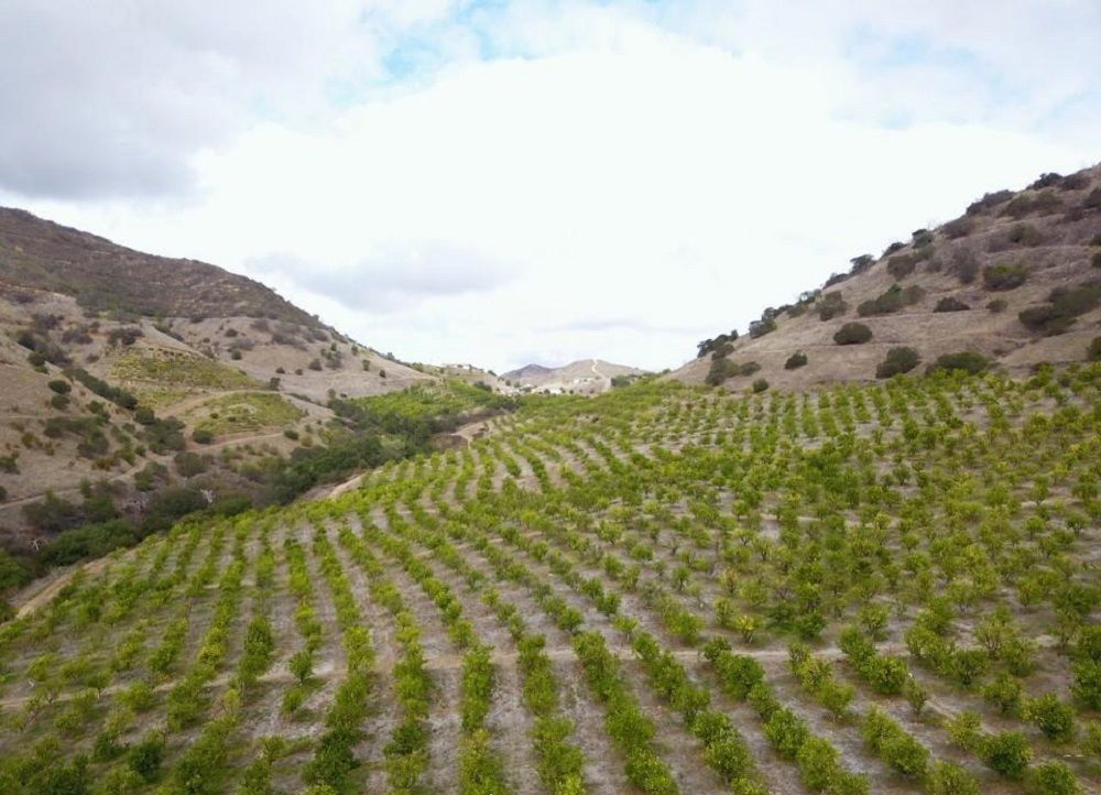 property-image-2
