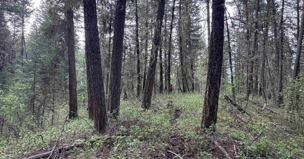 property-image-2