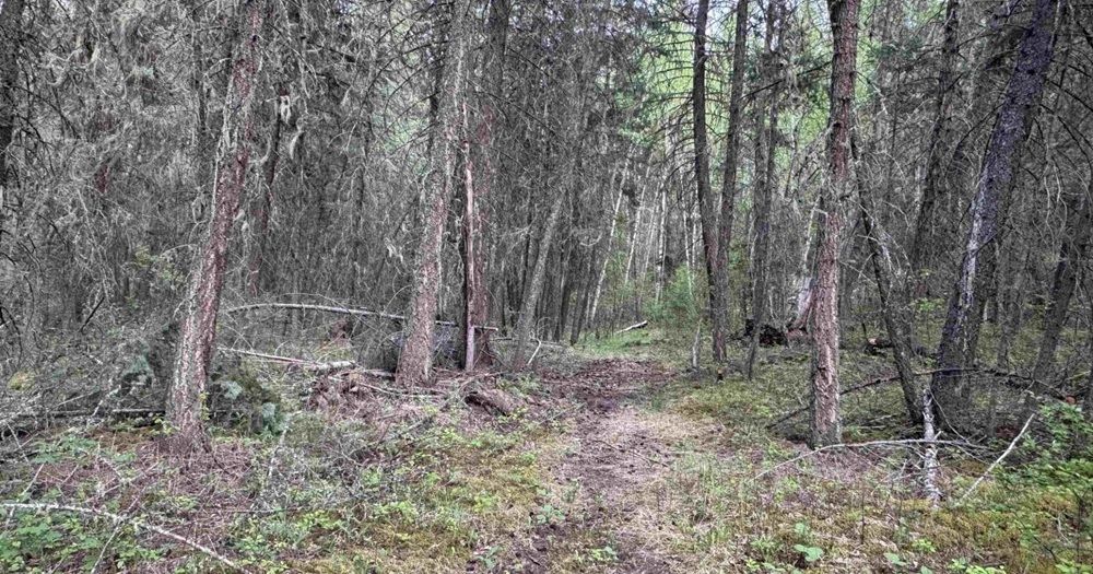 property-image-5