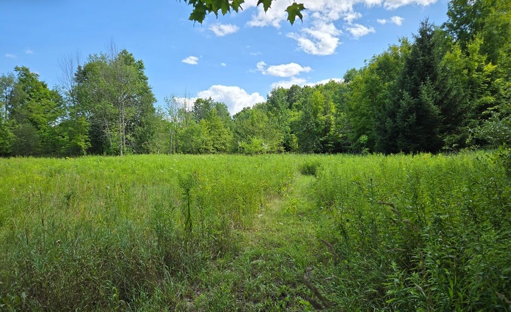 property-image-4