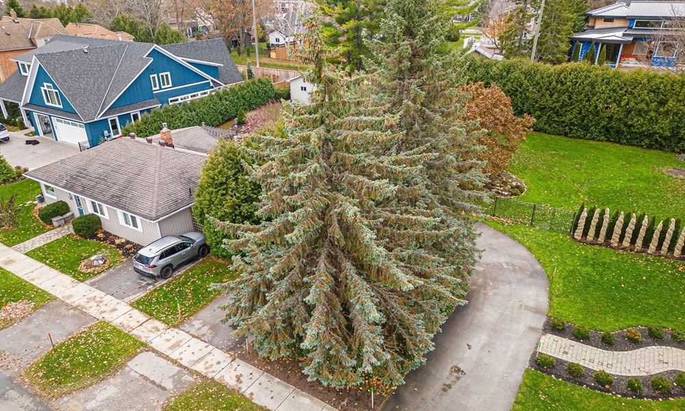 property-image-7