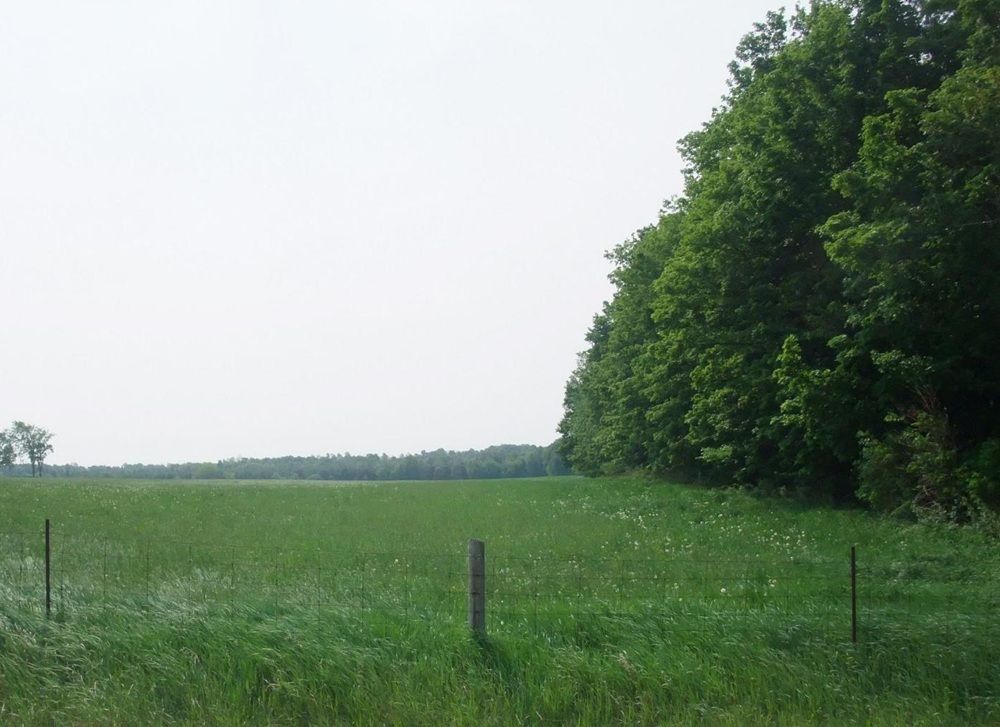 property-image-4