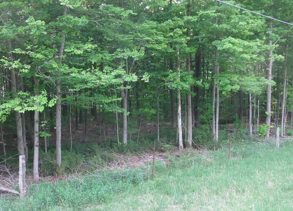 property-image-6