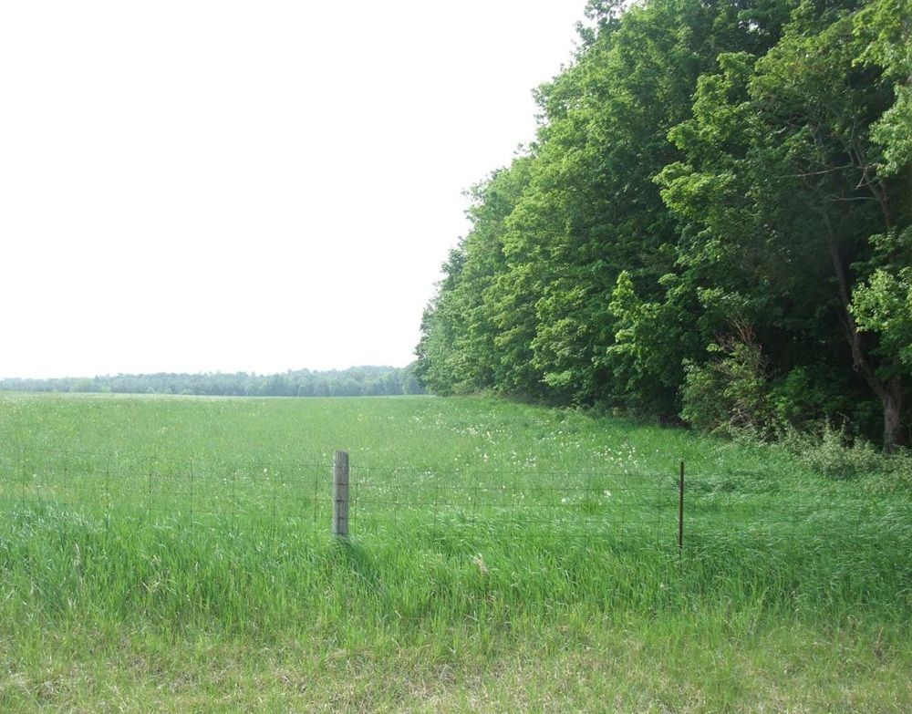 property-image-7