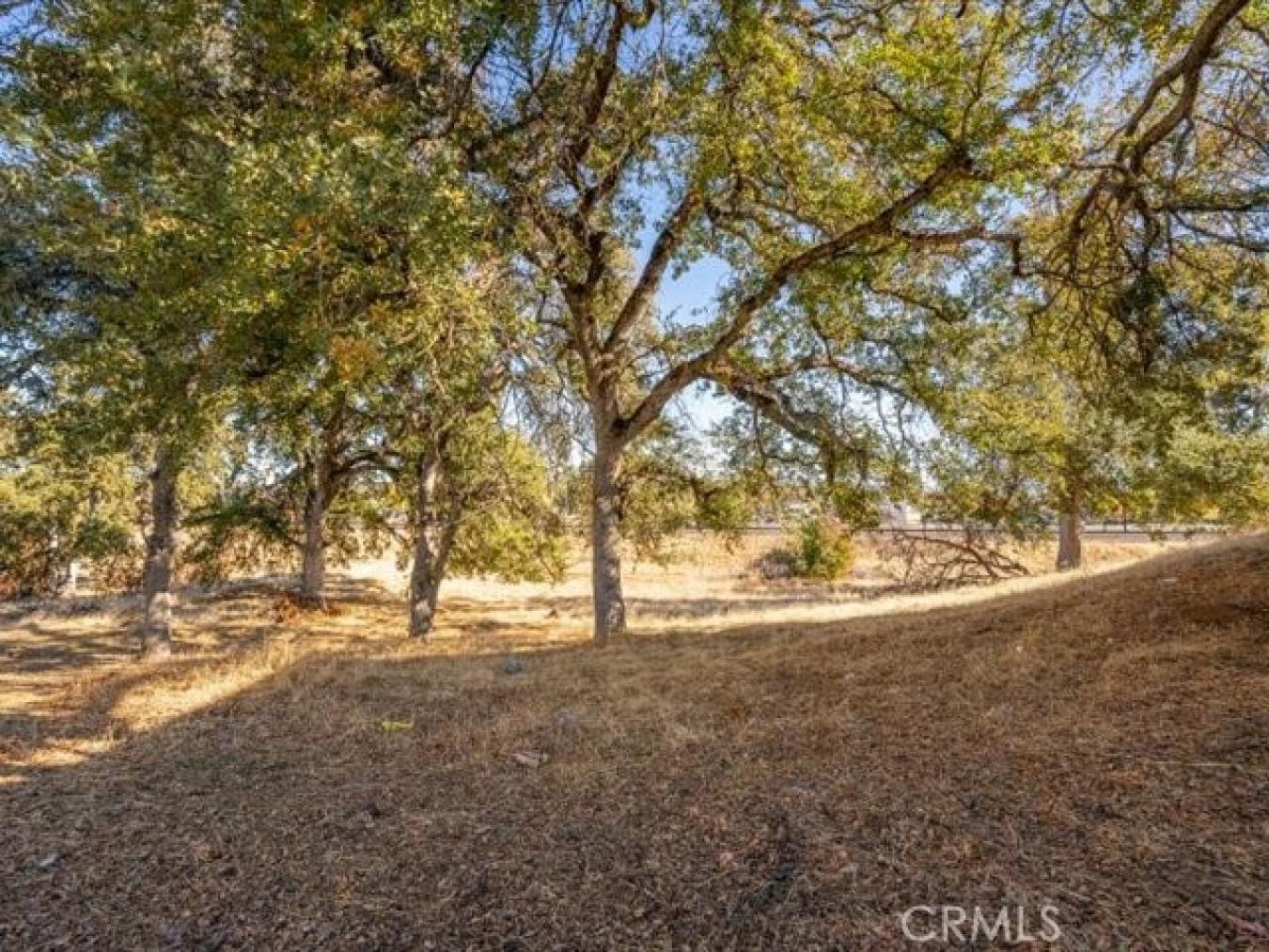 property-image-29
