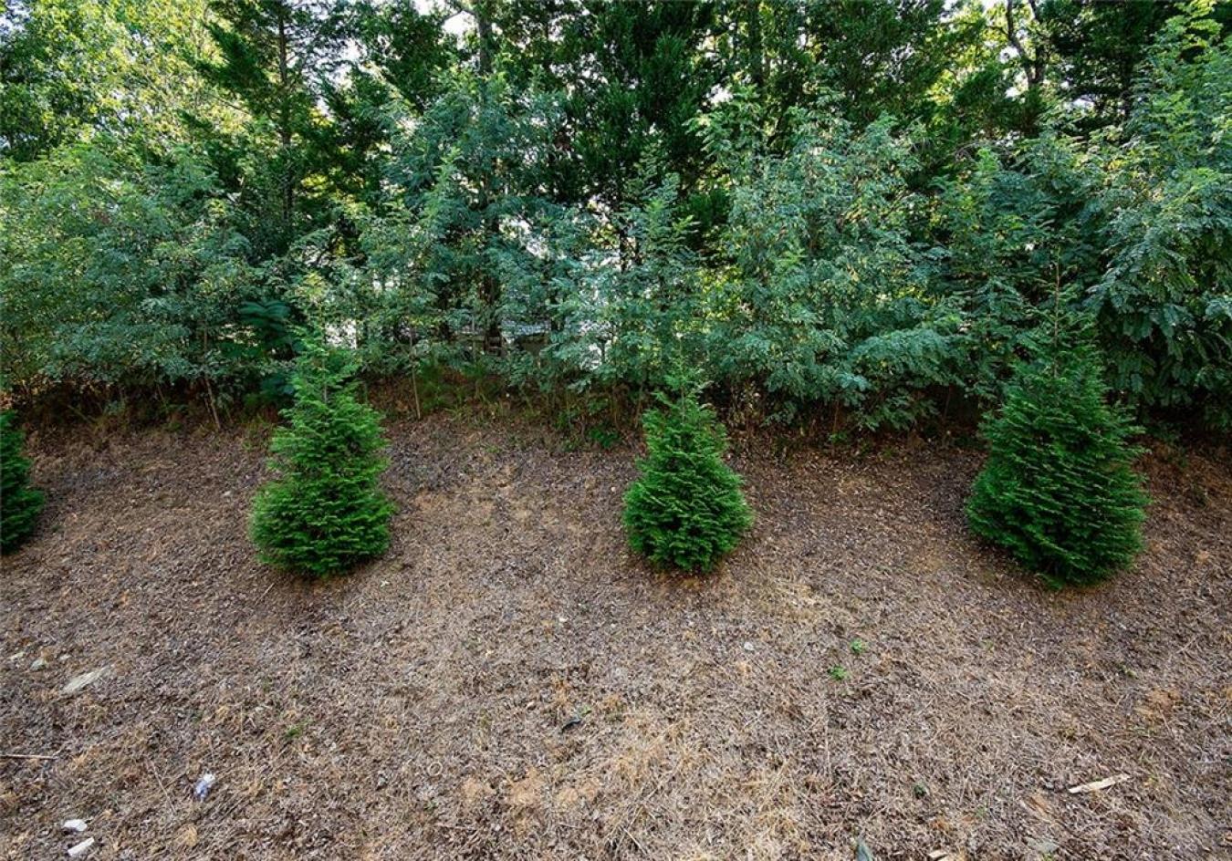 property-image-36