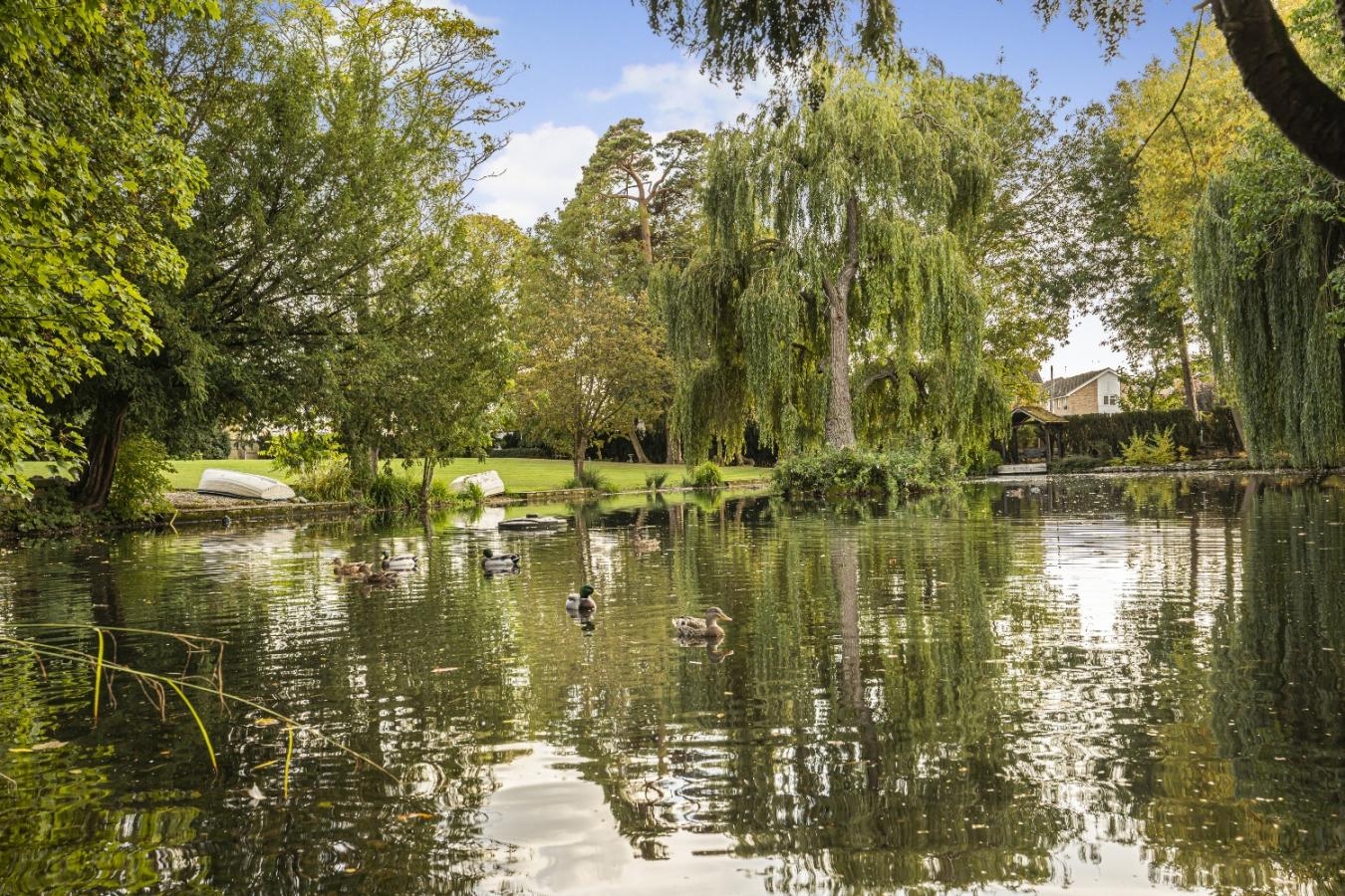 property-image-7
