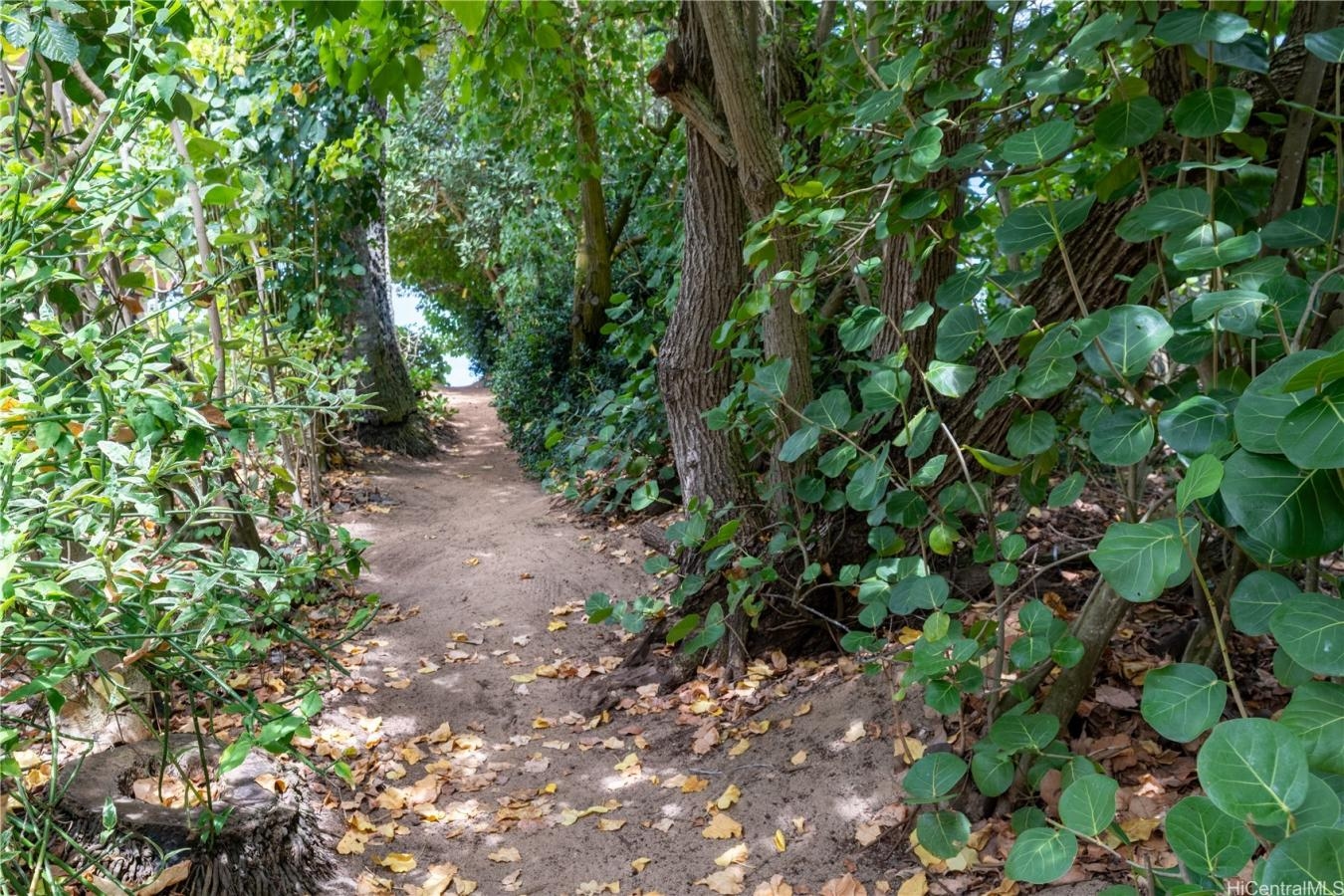 property-image-4