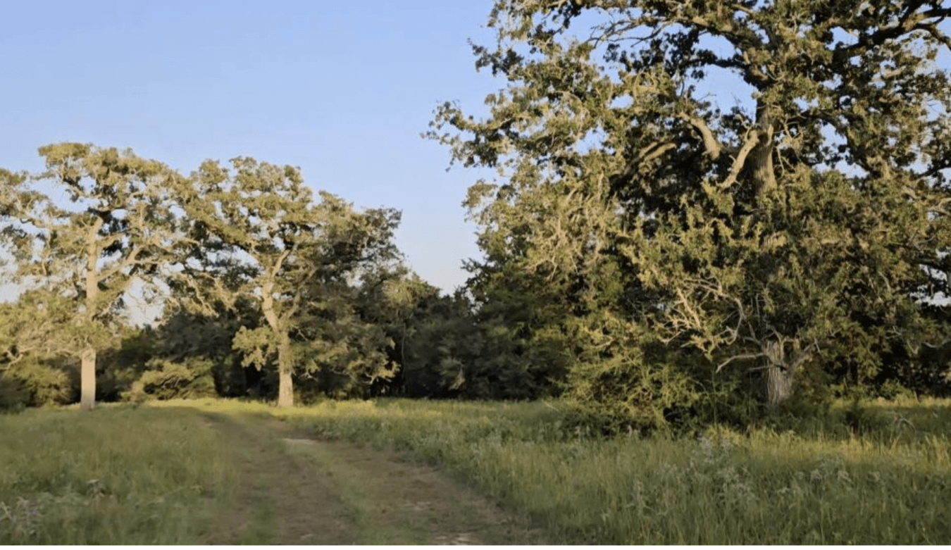 property-image-7