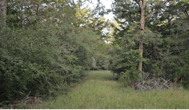 property-image-3