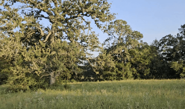 property-image-2