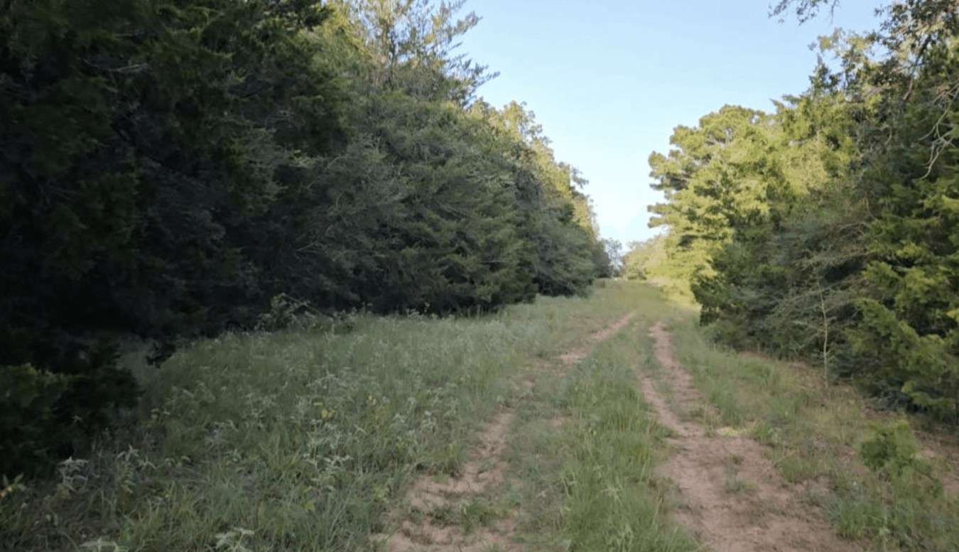 property-image-9