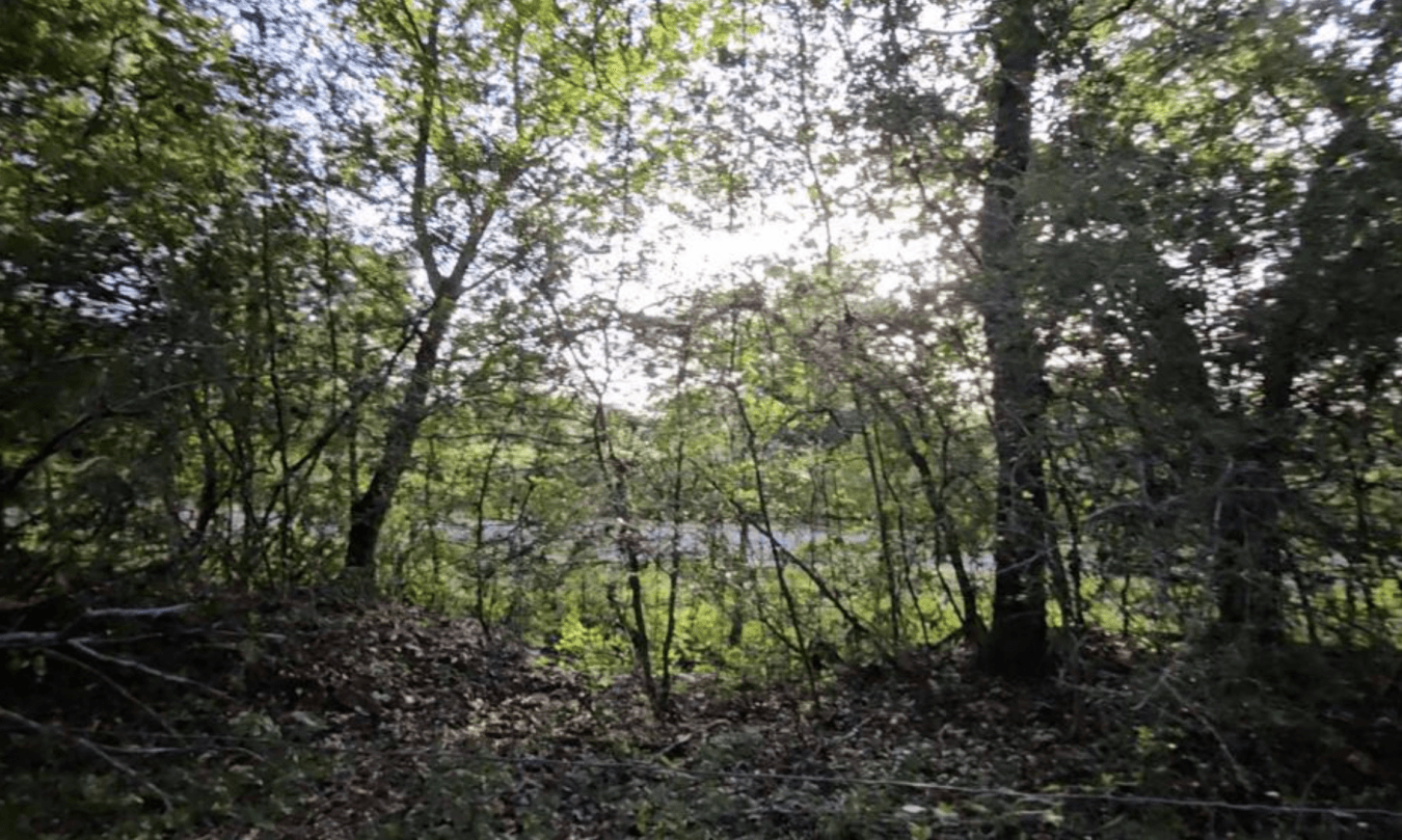 property-image-20