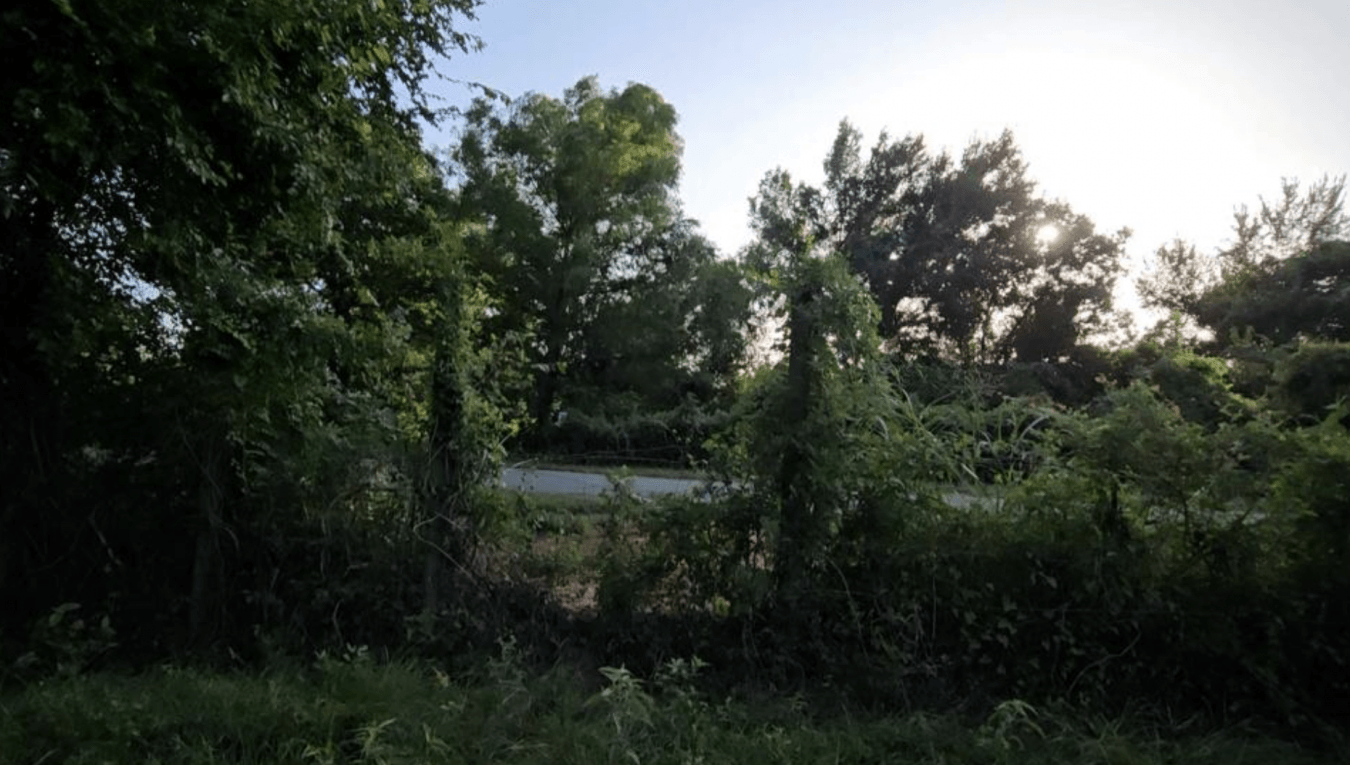 property-image-22