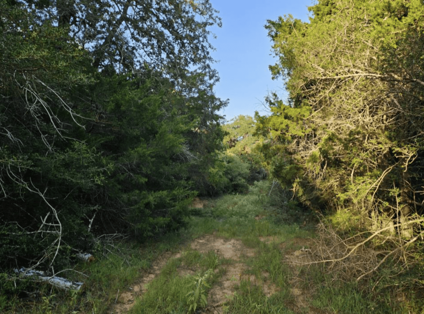 property-image-23