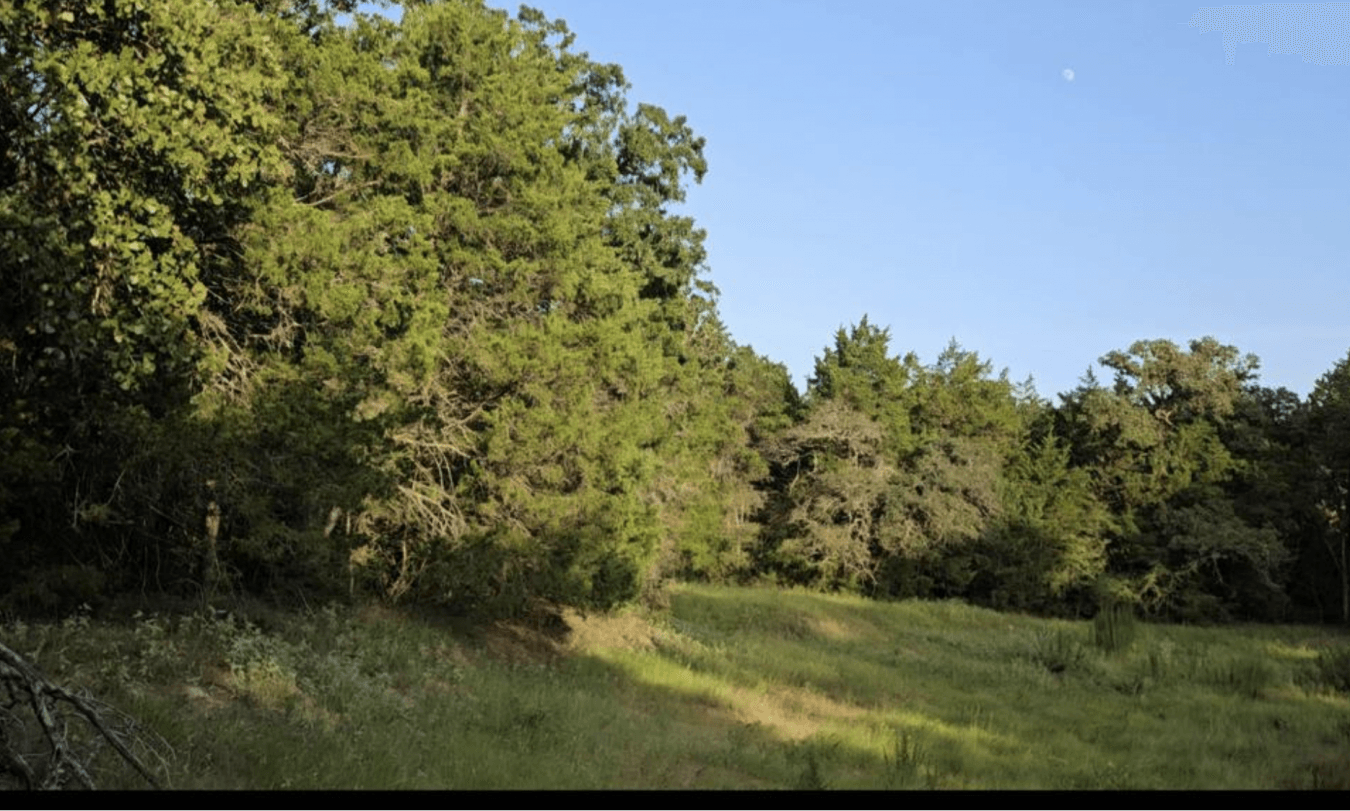 property-image-25