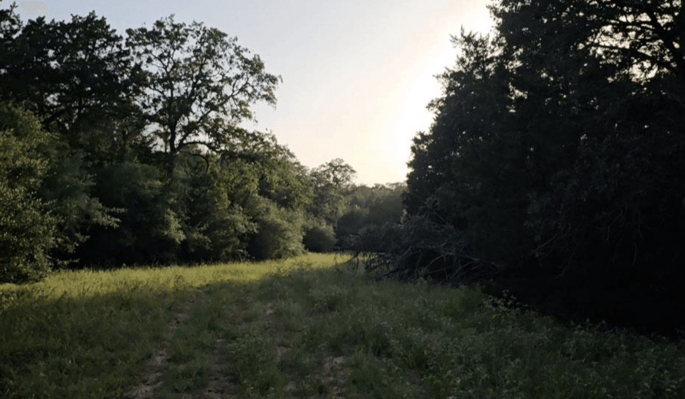 property-image-26