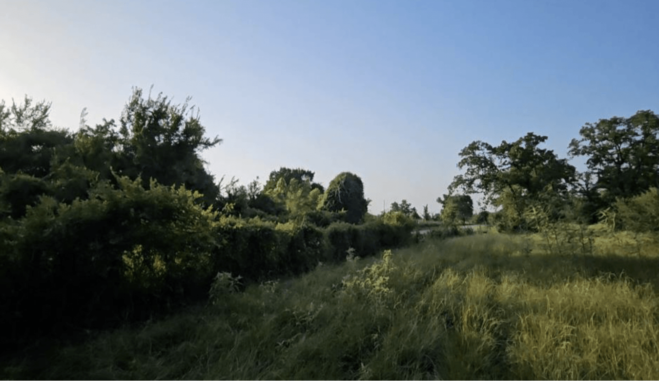 property-image-21
