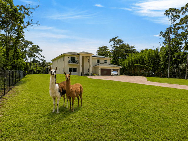 property-image-3